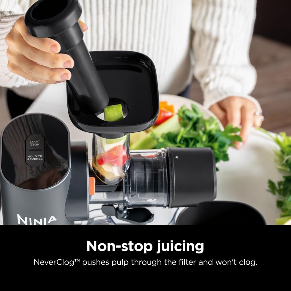 Charcoal Cold Press Juicer I302