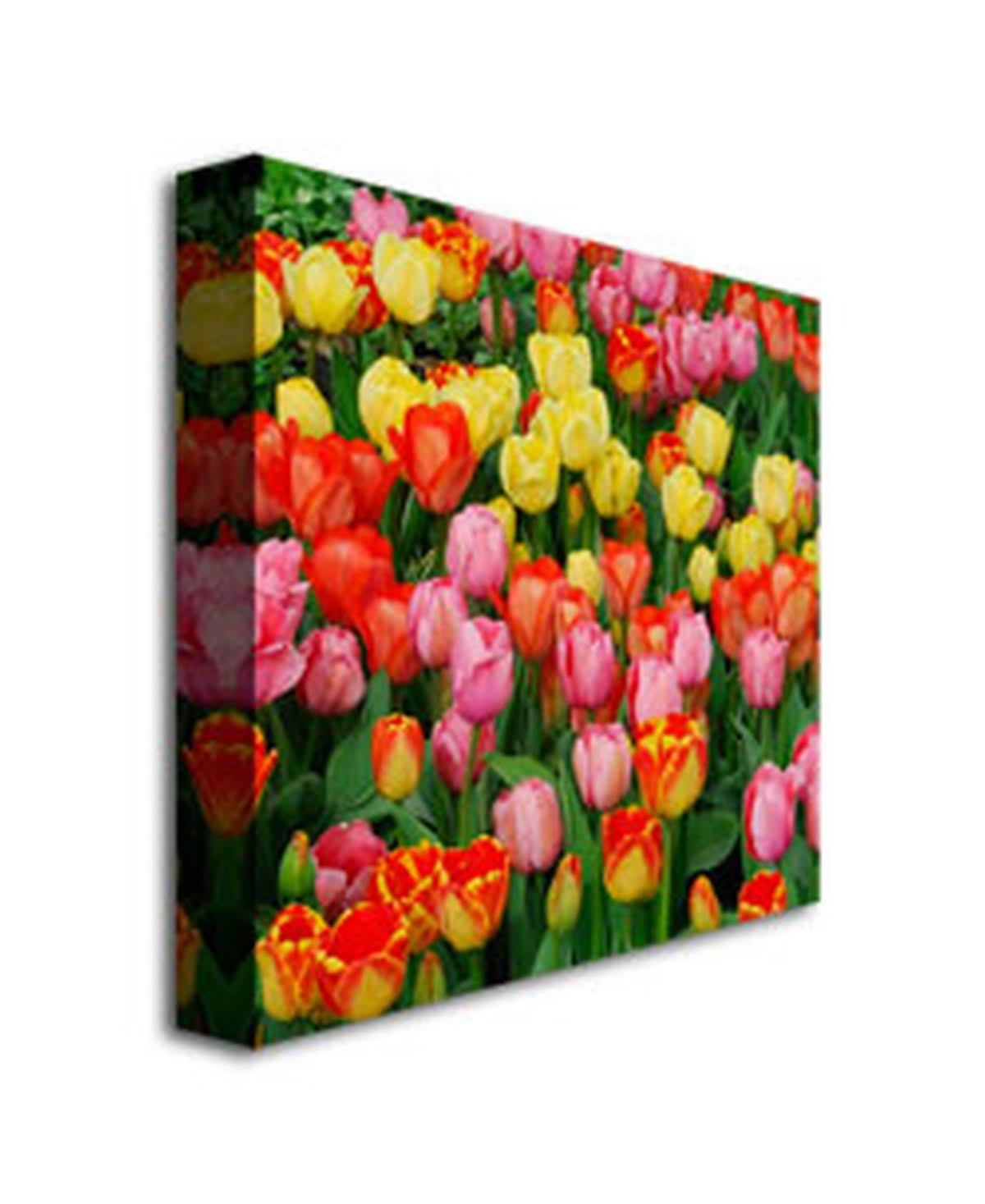Canvas Art G6936