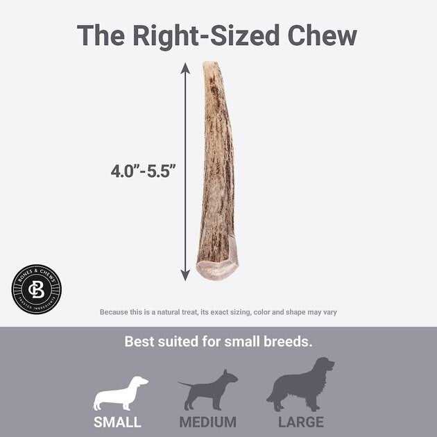 Deer Antler Dog Chew A166177