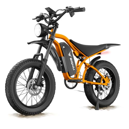 20" Fat Tire Electric Bike with Peak 1200W Motor, 48V 15A Battery, 7-Speed, Dual Disc Brakes R535