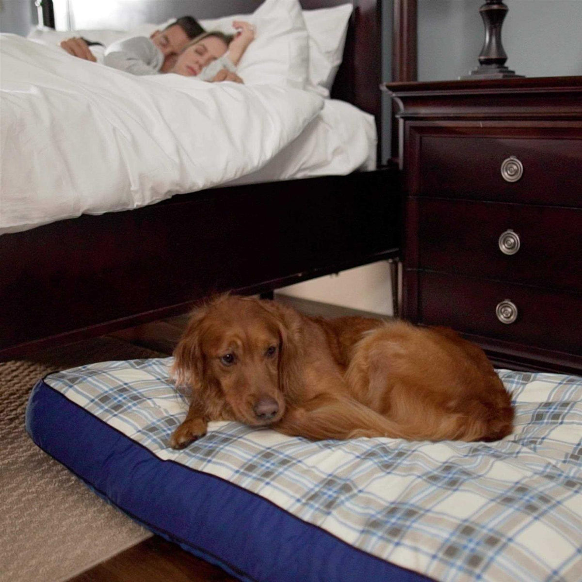 Dog Bed H83538