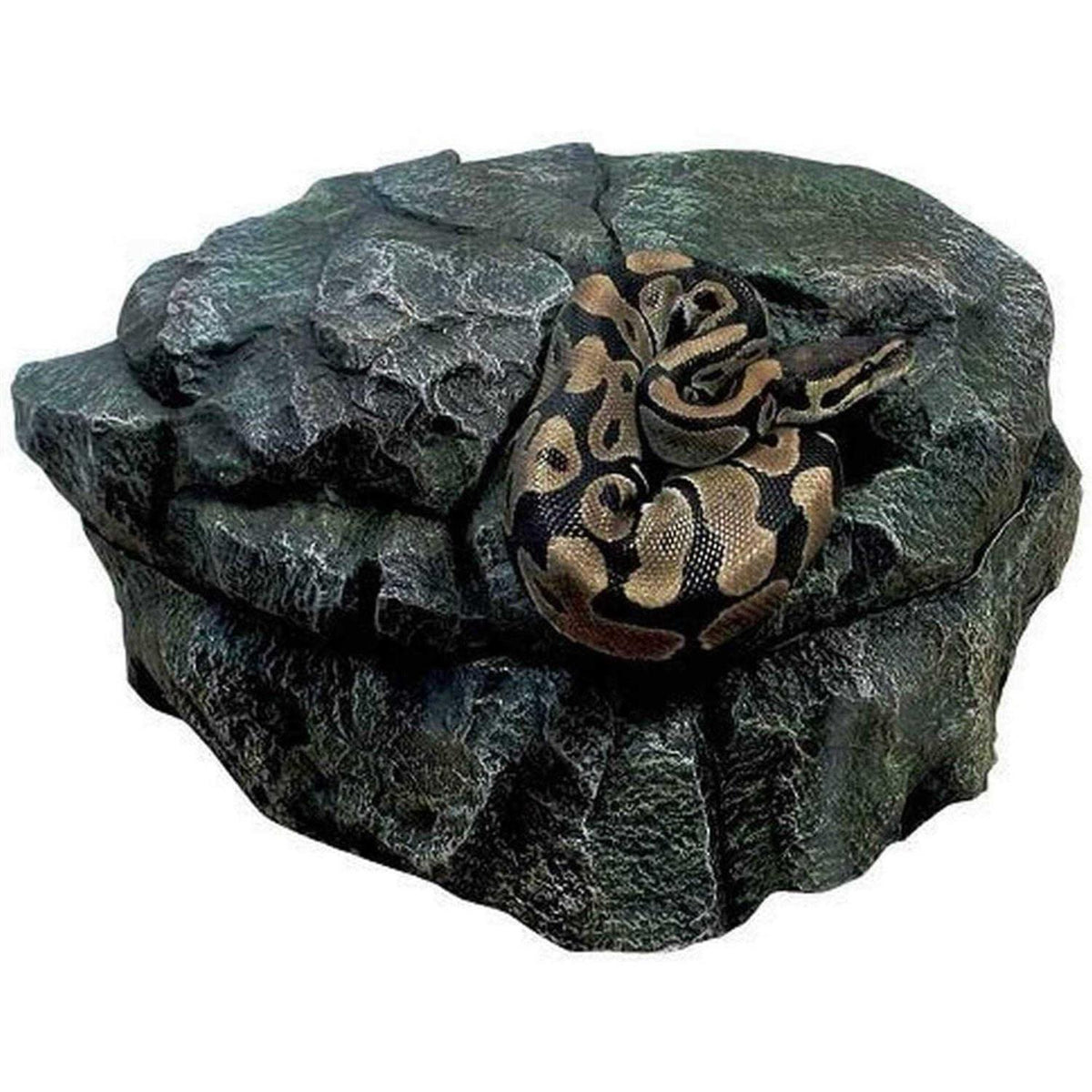 Reptile Shelter 3 in 1 Cave N705494