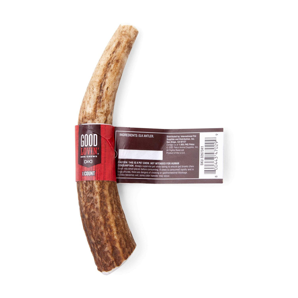 Large Whole Elk Antler Dog Chew X561