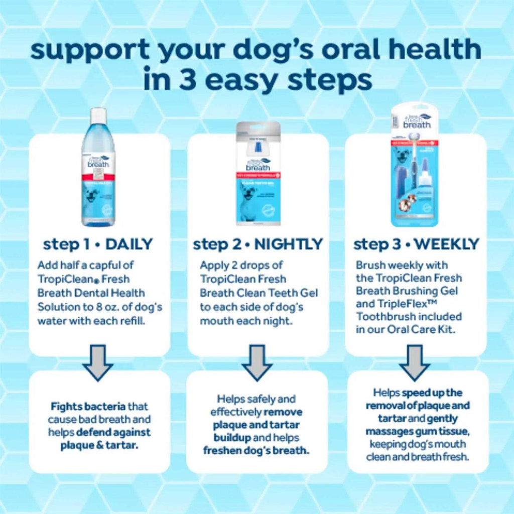Fresh Breath Oral Care Clean Teeth Gel D4410