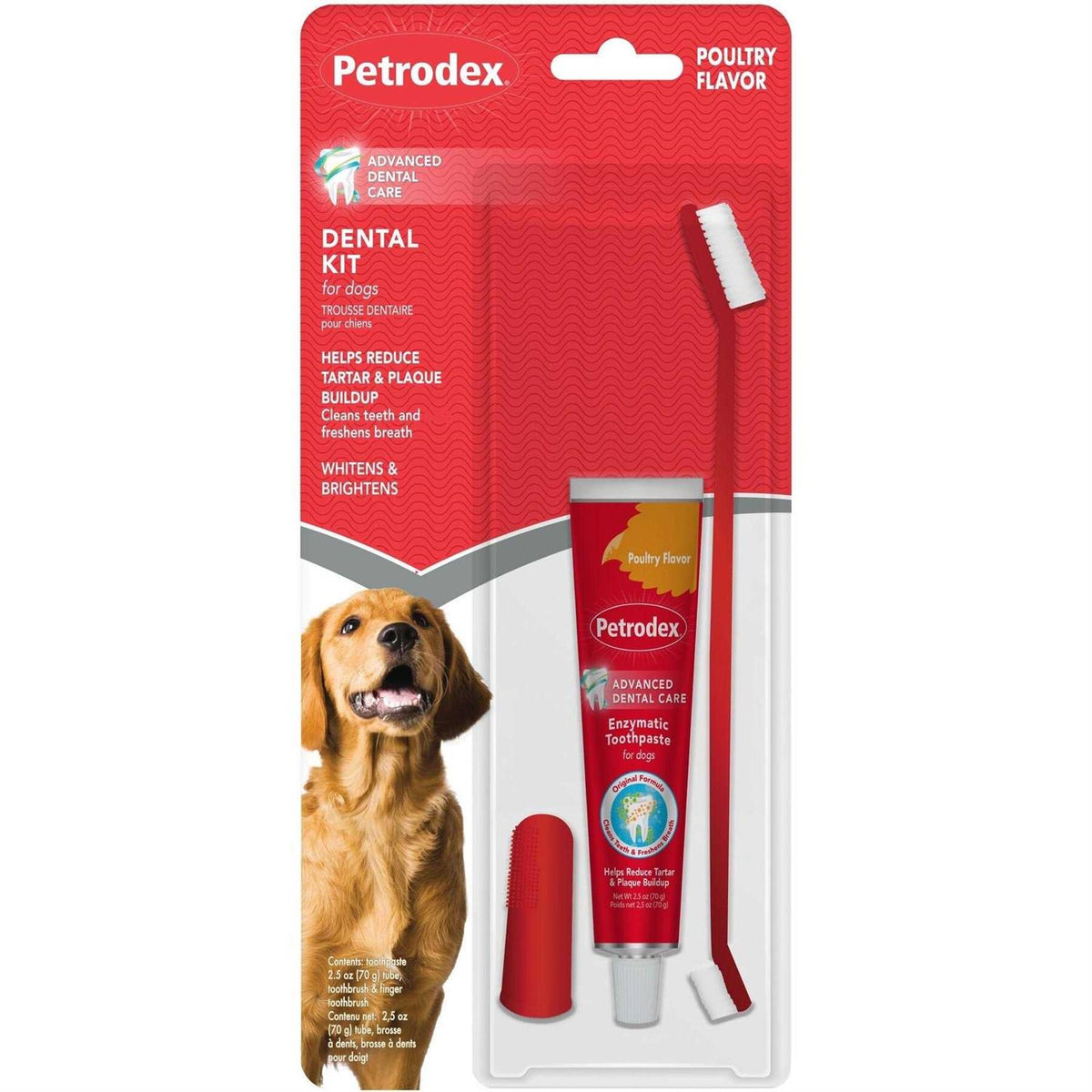 Dental Kit for Adult Dogs P416747