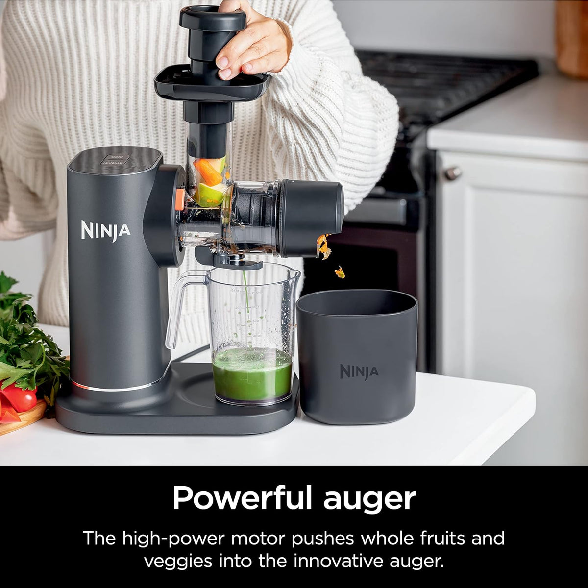 Charcoal Cold Press Juicer I302