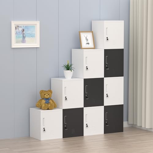 Black Metal Storage Locker Cabinet with Locking Door and Adjustable Shelf R564255