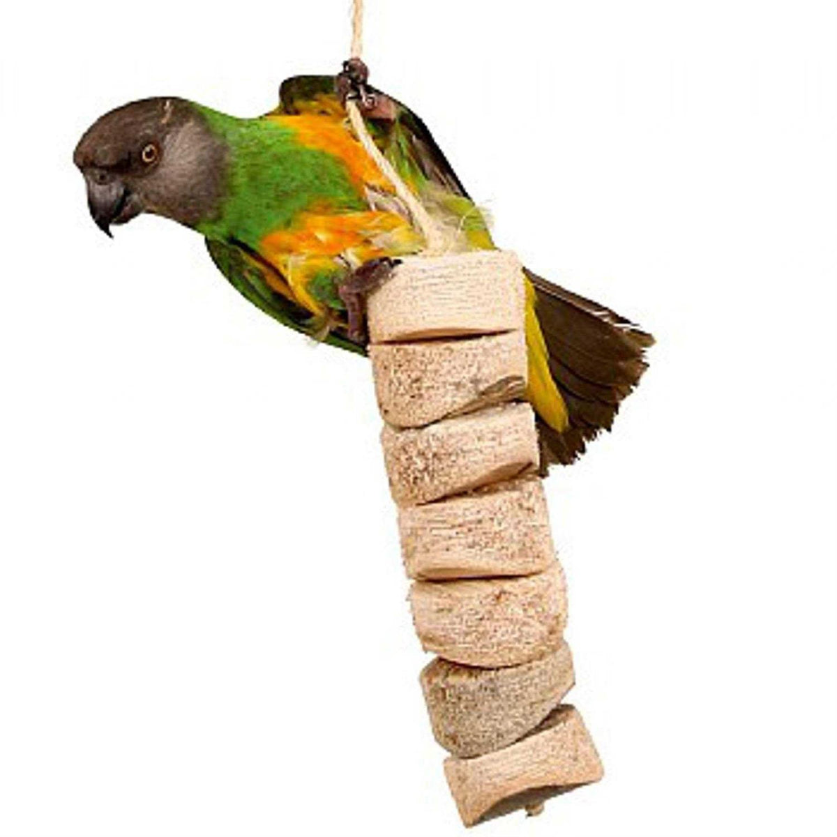 Bird Kabob Toy J89320