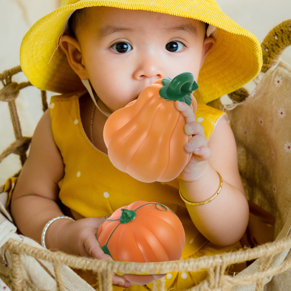 Spider Pumpkin Toys Y453