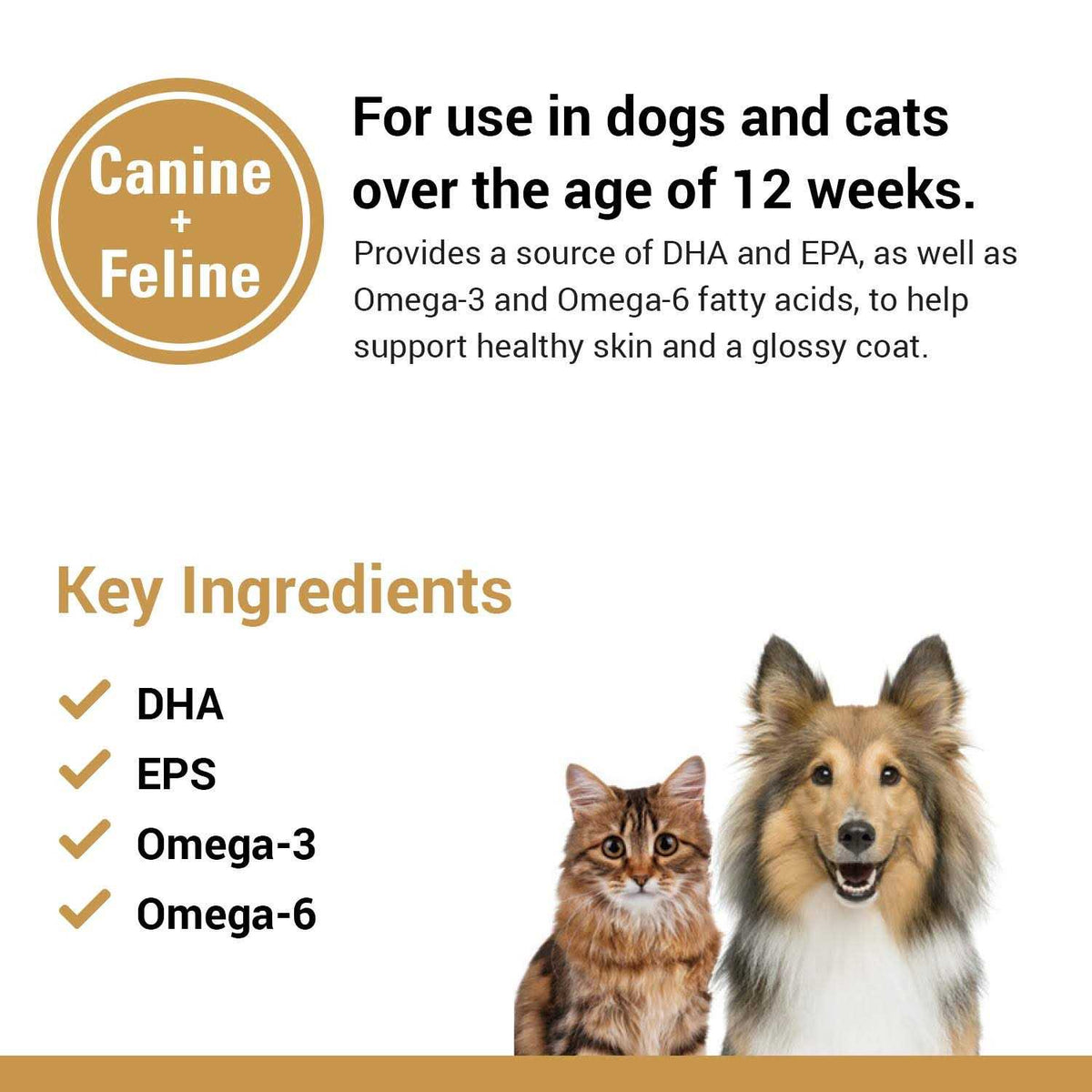 Salmon Oil Soft Chews W72172