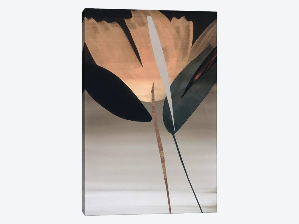 Canvas Wall Decor Prints O64169