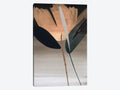 Canvas Wall Decor Prints O64169