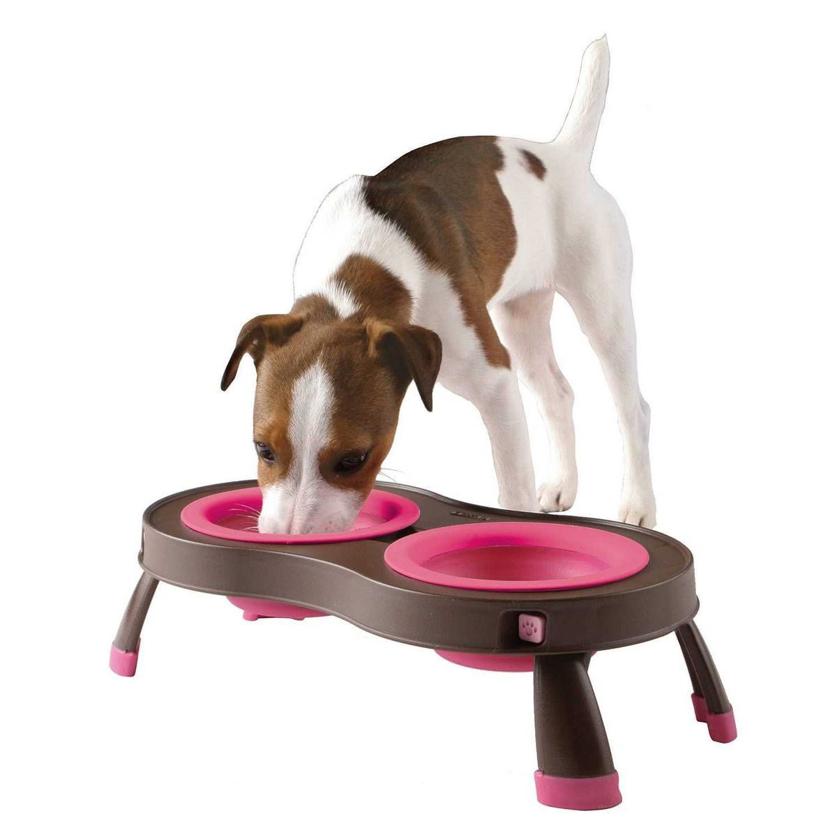Elevated Pet Feeder R315