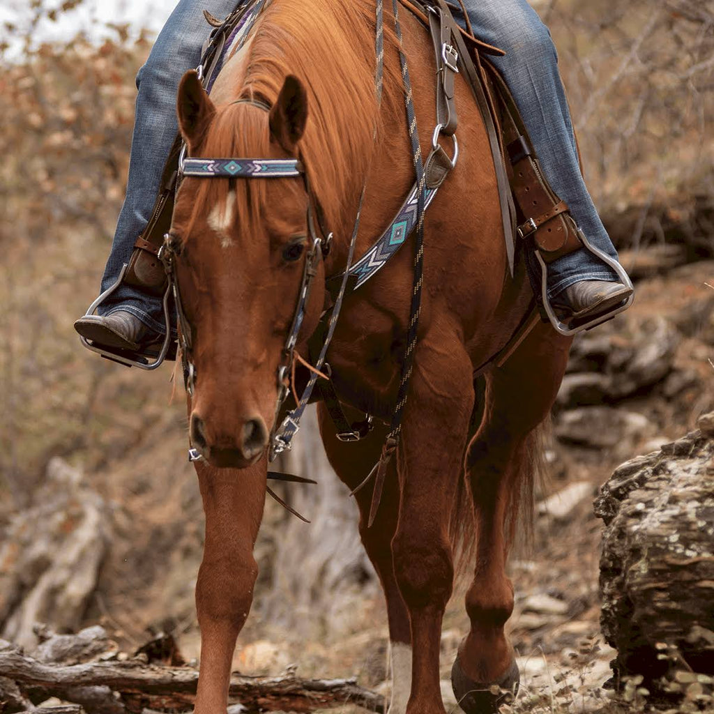 Beaded Slip Ear Headstall L854