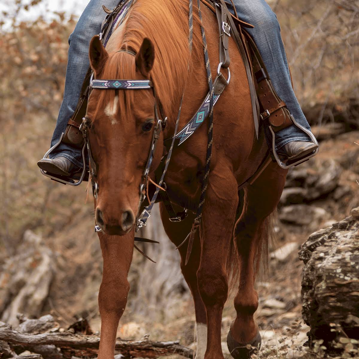 Beaded Slip Ear Headstall L854
