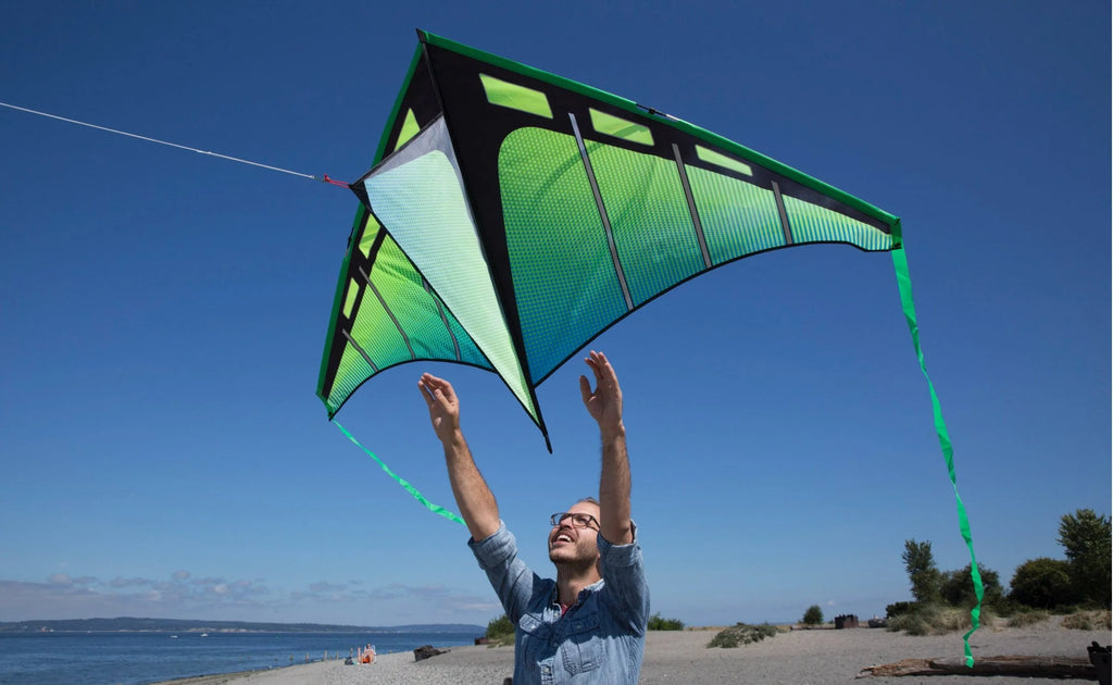 Single Line Delta Kite S315