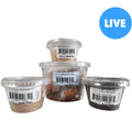 Juvenile Leopard Gecko Feeder Bundle H33401