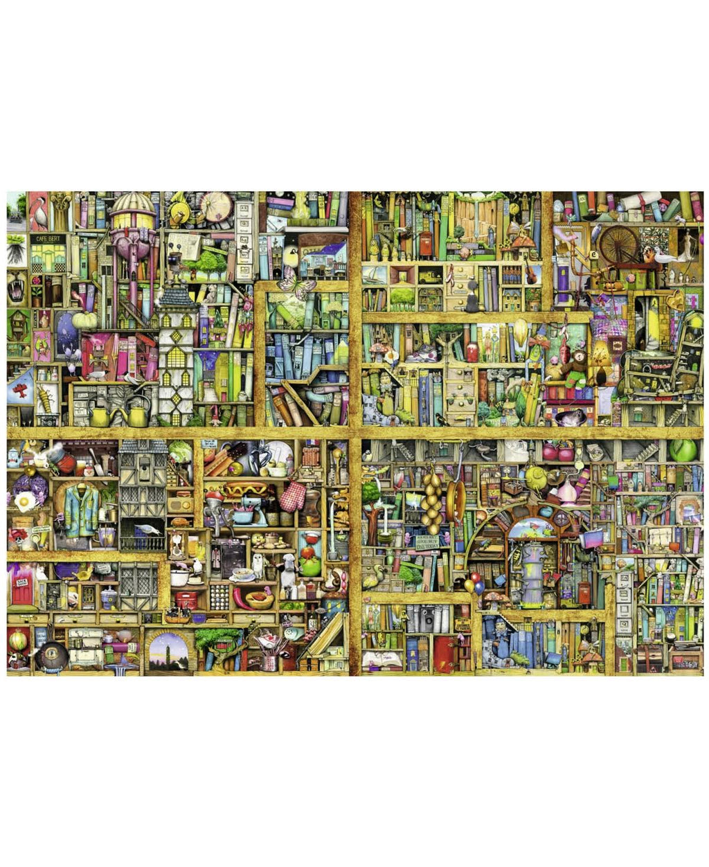 Magical Bookcase Puzzle E2952