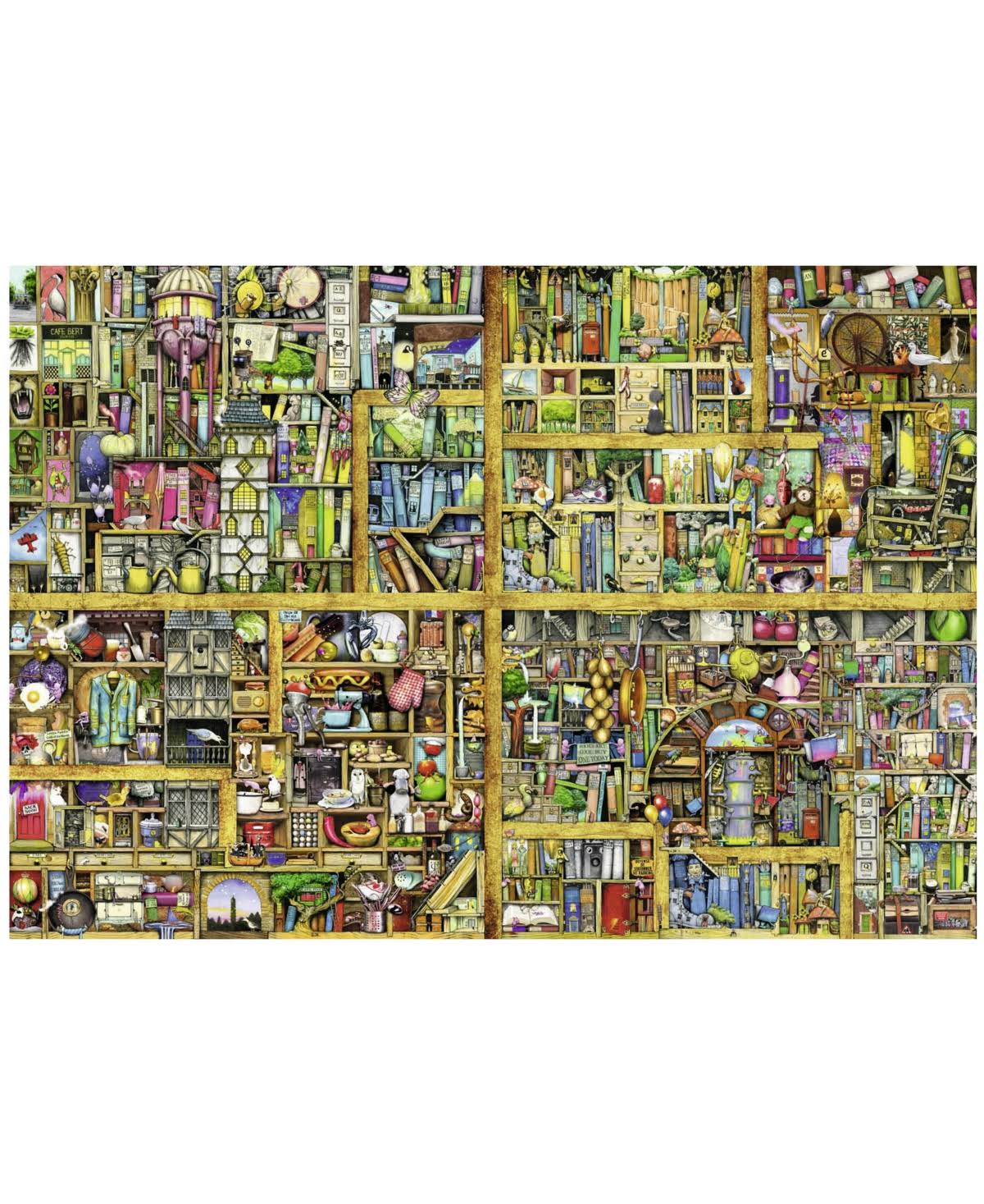 Magical Bookcase Puzzle E2952