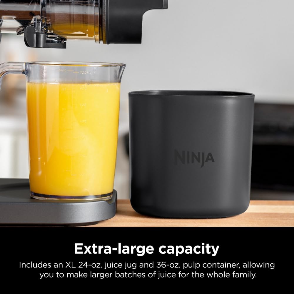 Charcoal Cold Press Juicer I302