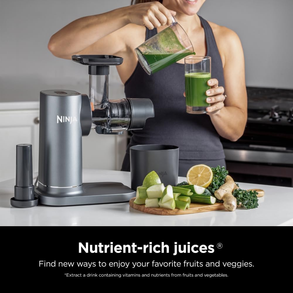 Charcoal Cold Press Juicer I302