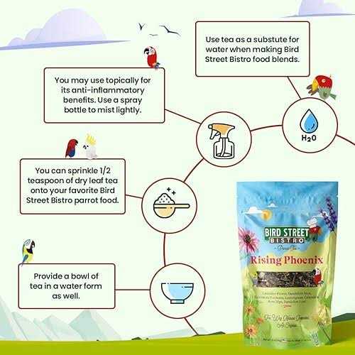 Parrot Food Parakeet Food Cockatiel Food Bird Food G14090