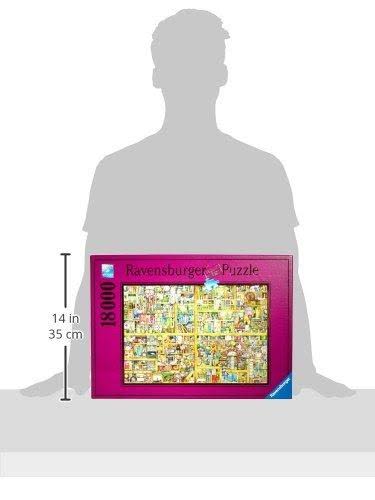 Magical Bookcase Puzzle E2952