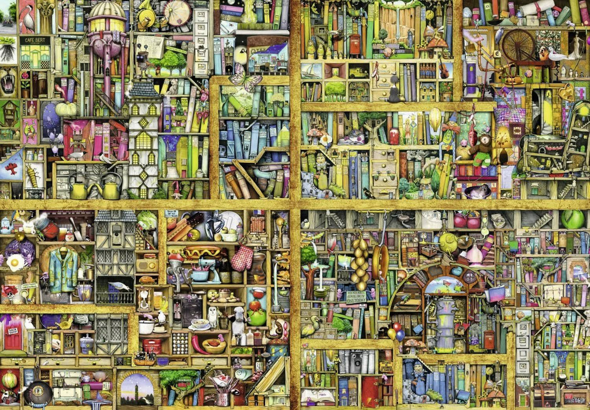 Magical Bookcase Puzzle E2952