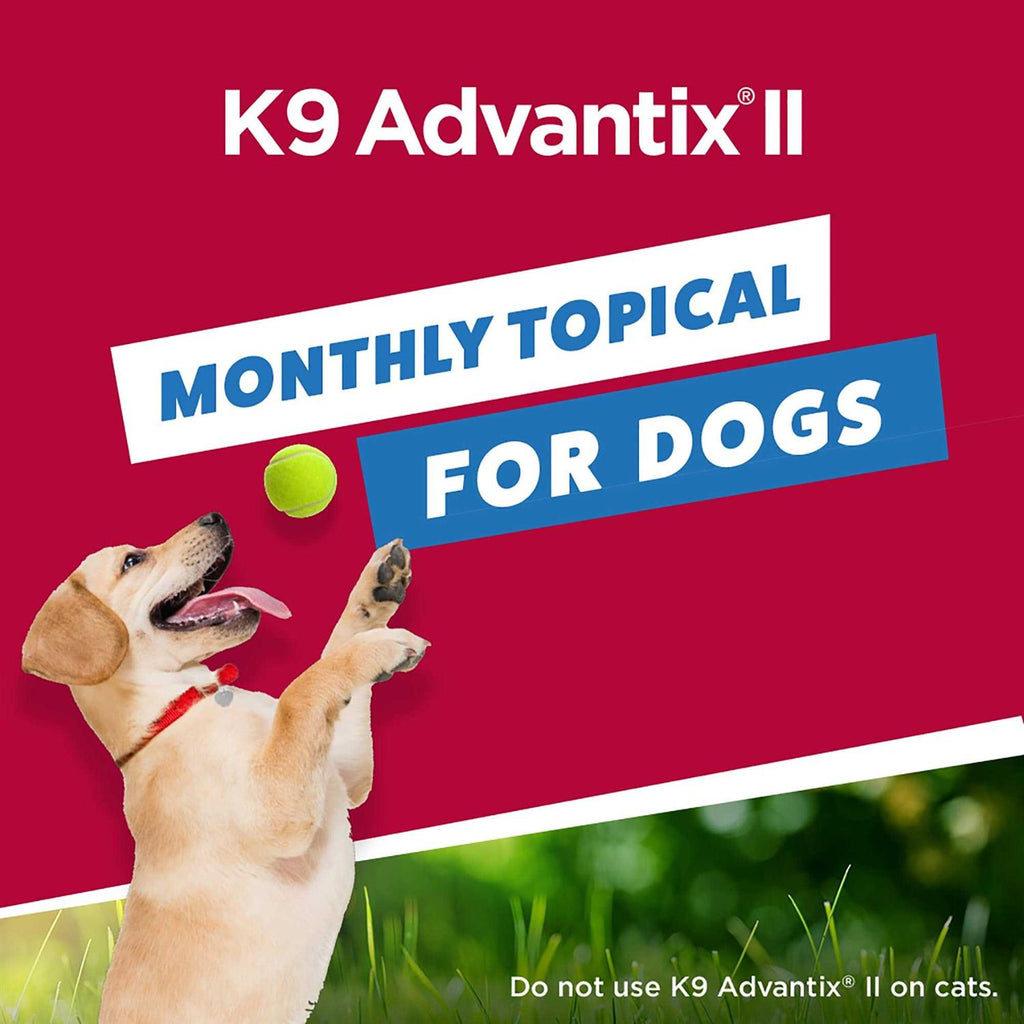 Extra Large Dogs Pet Supplies F273171