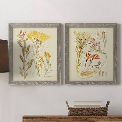 Antique Botanical Sketch Framed Print R2975
