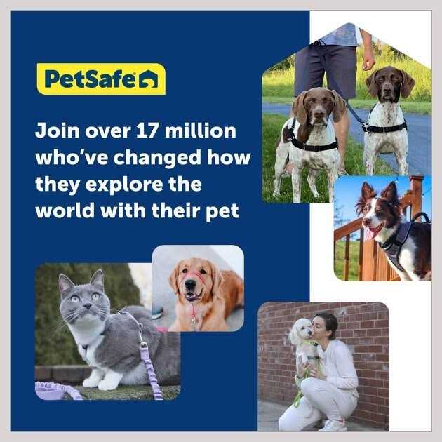 Dog Harness M8989