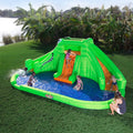Dual Water Slide N31477