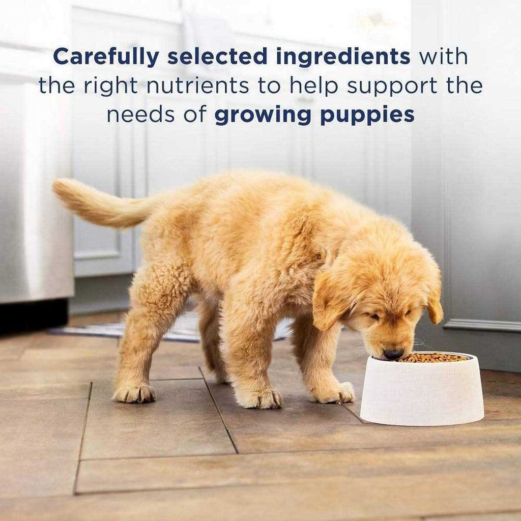 Limited Ingredient Lamb & Brown Rice Dry Dog Food Q842