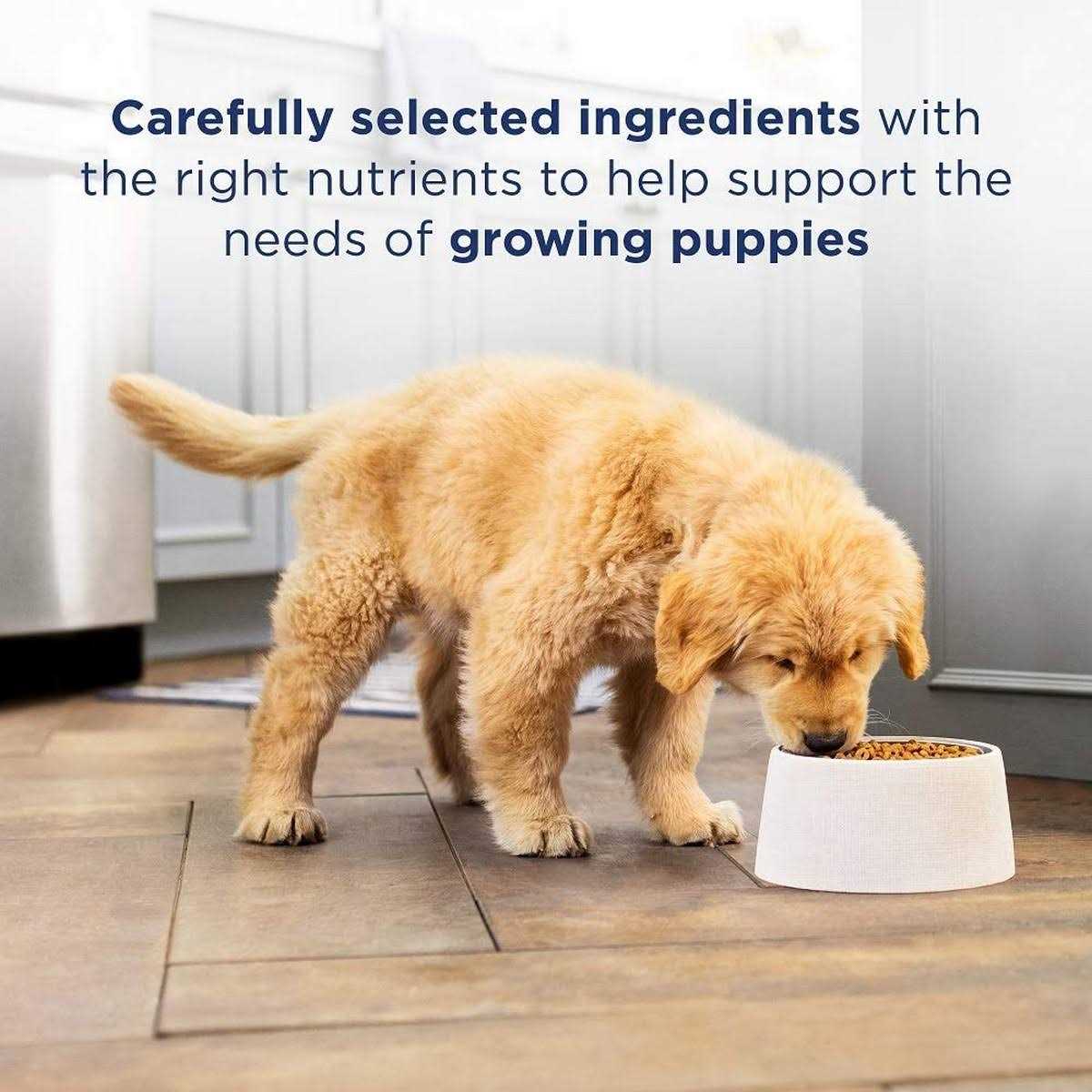 Limited Ingredient Lamb & Brown Rice Dry Dog Food Q842