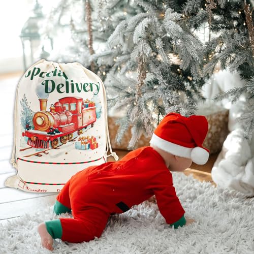 4 Pack Large Christmas Canvas Gift Bags with Drawstring V64455