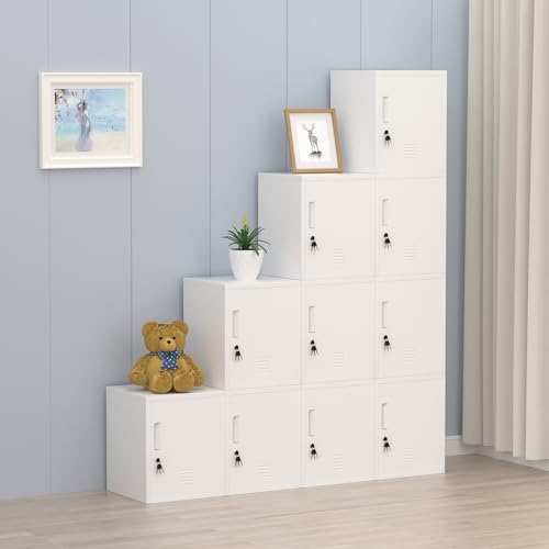 Black Metal Storage Locker Cabinet with Locking Door and Adjustable Shelf R564255