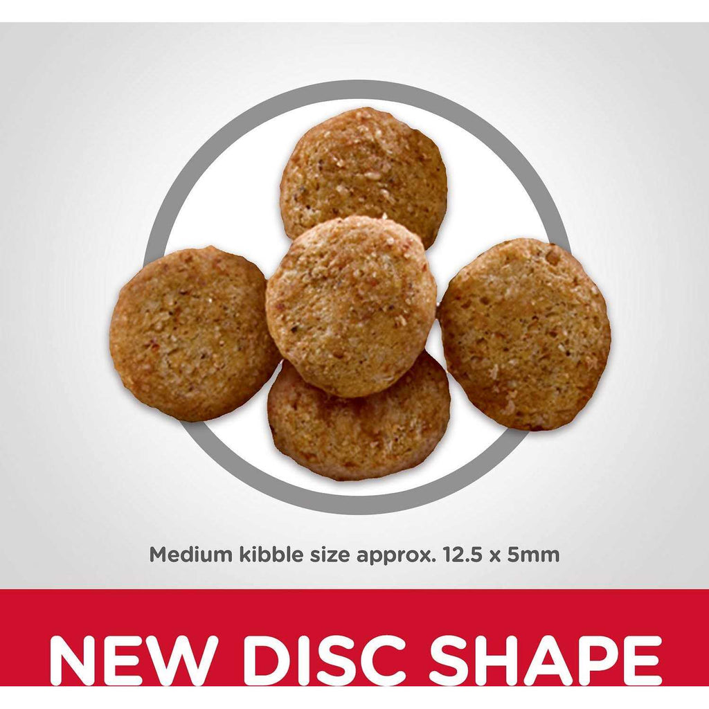 Adult Light Chicken Meal & Barley Dry Dog Food N561519