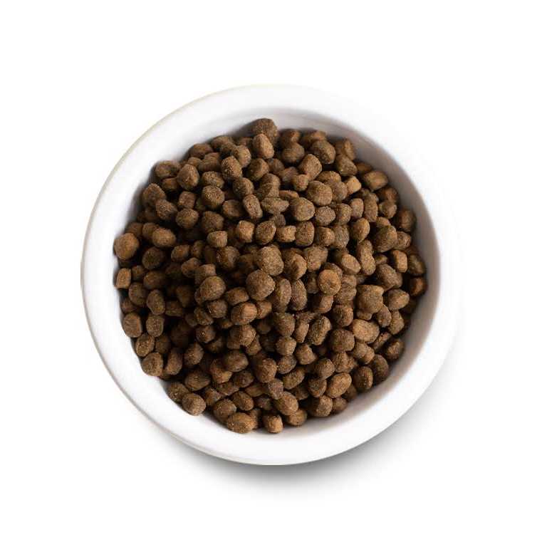 Chicken Ancient Grains Dry Dog Food T42443