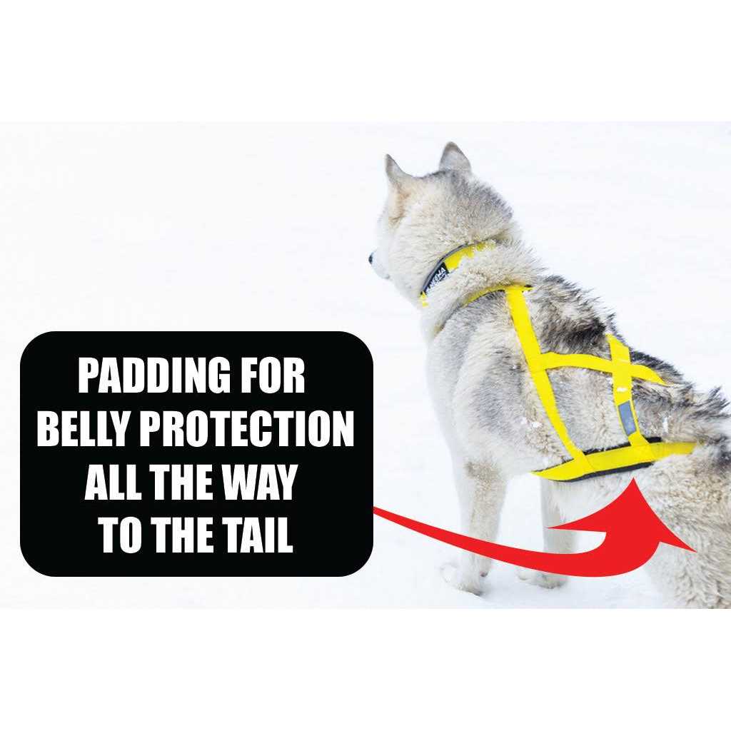 Dog Pulling Harness G4624