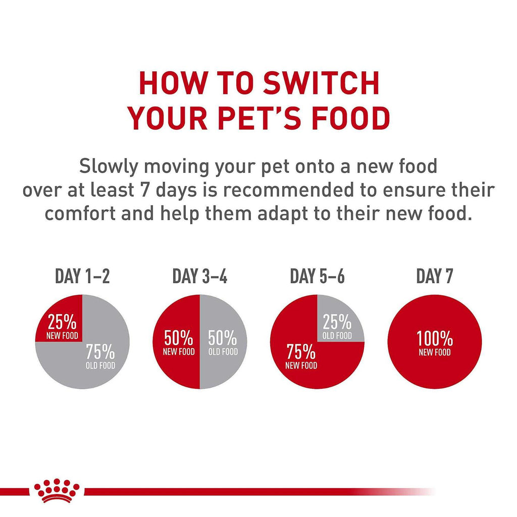 Small Adult Dry Dog Food K181