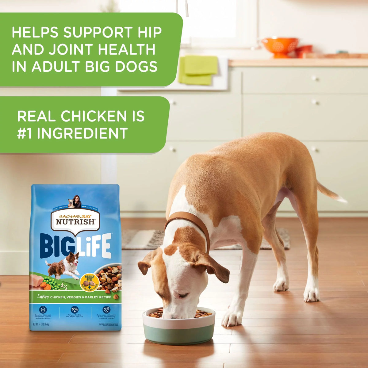 Chicken Veggies & Barley Recipe Dry Dog Food 14 lb Bag E534571