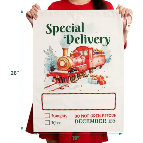 4 Pack Large Christmas Canvas Gift Bags with Drawstring V64455
