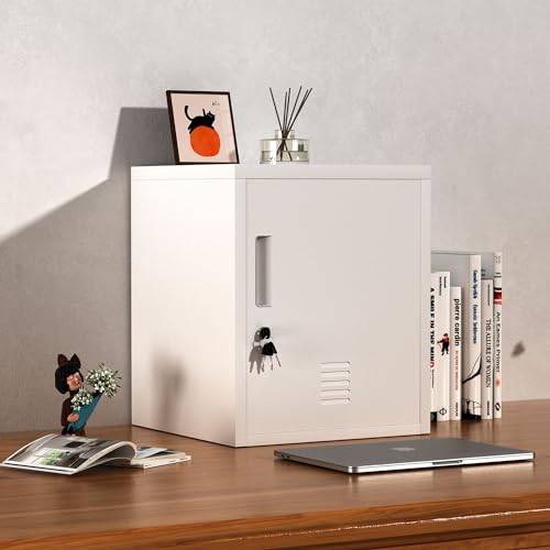 Black Metal Storage Locker Cabinet with Locking Door and Adjustable Shelf R564255