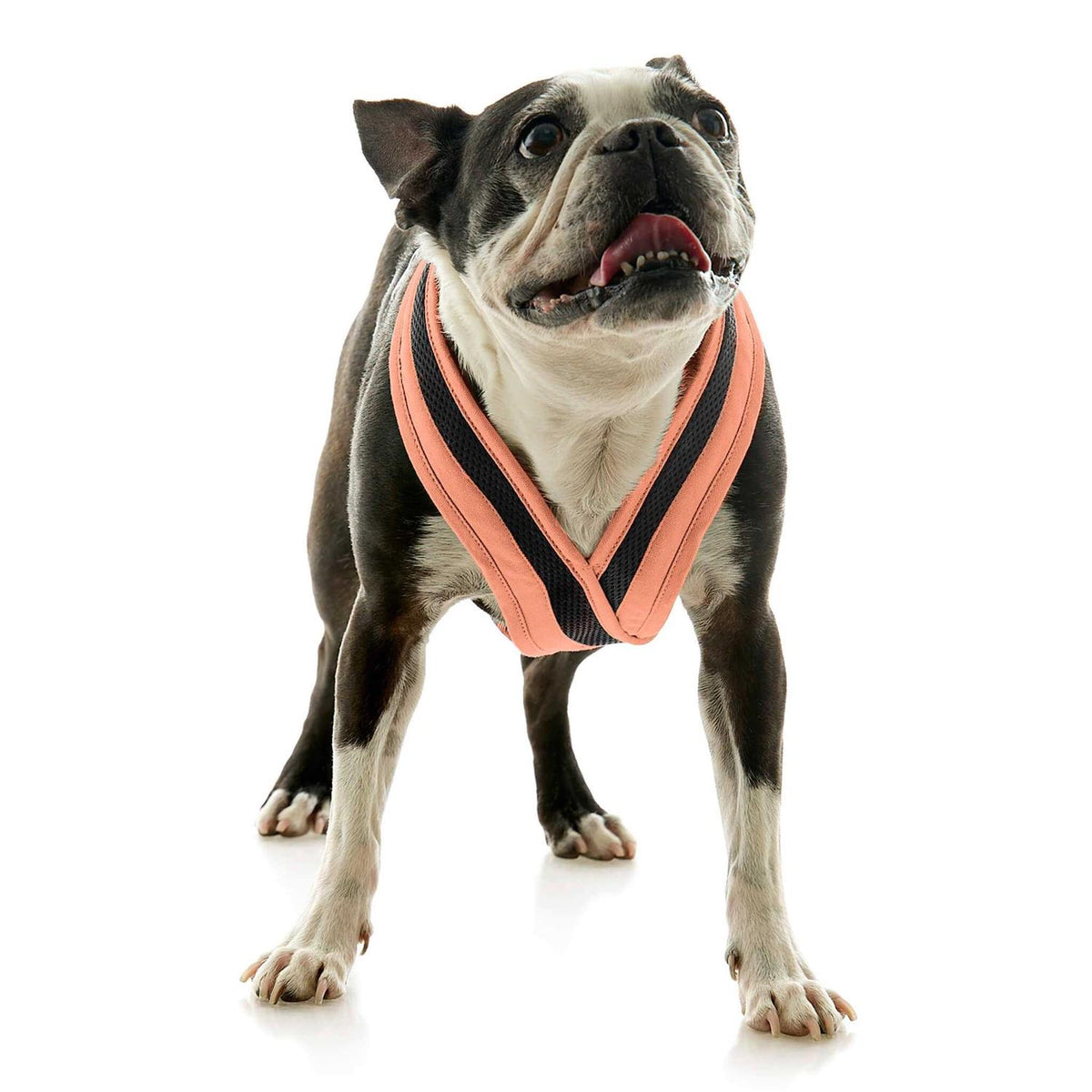 Dog Harness A1485
