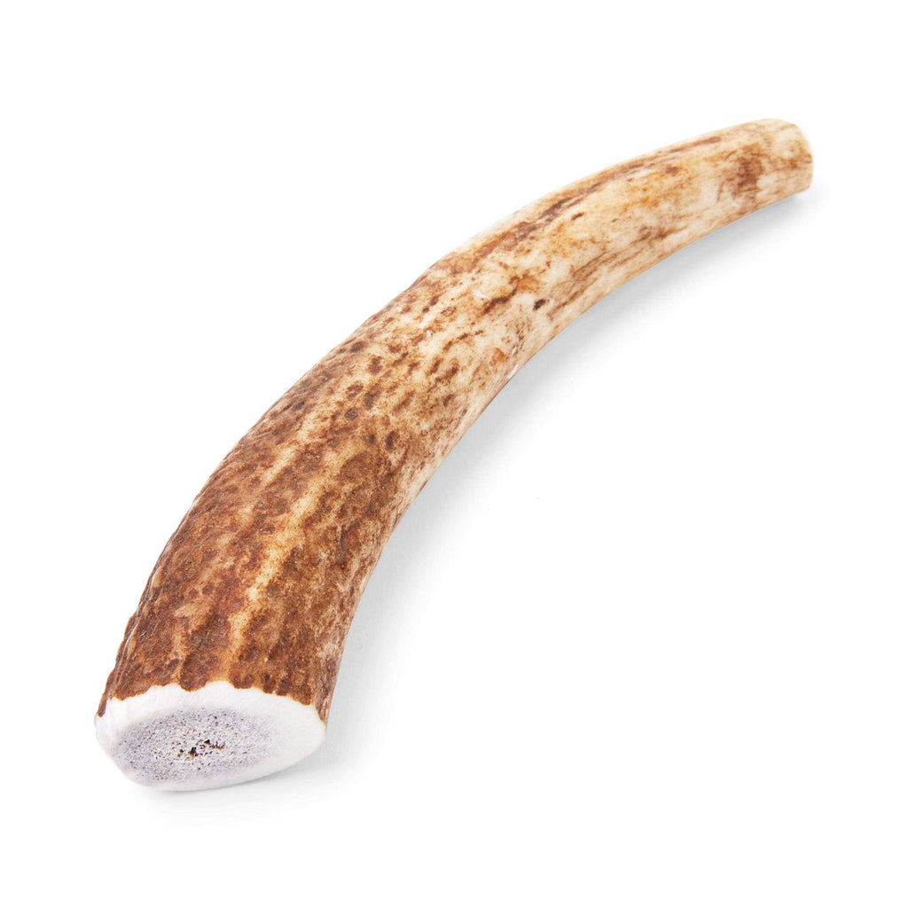 Large Whole Elk Antler Dog Chew X561