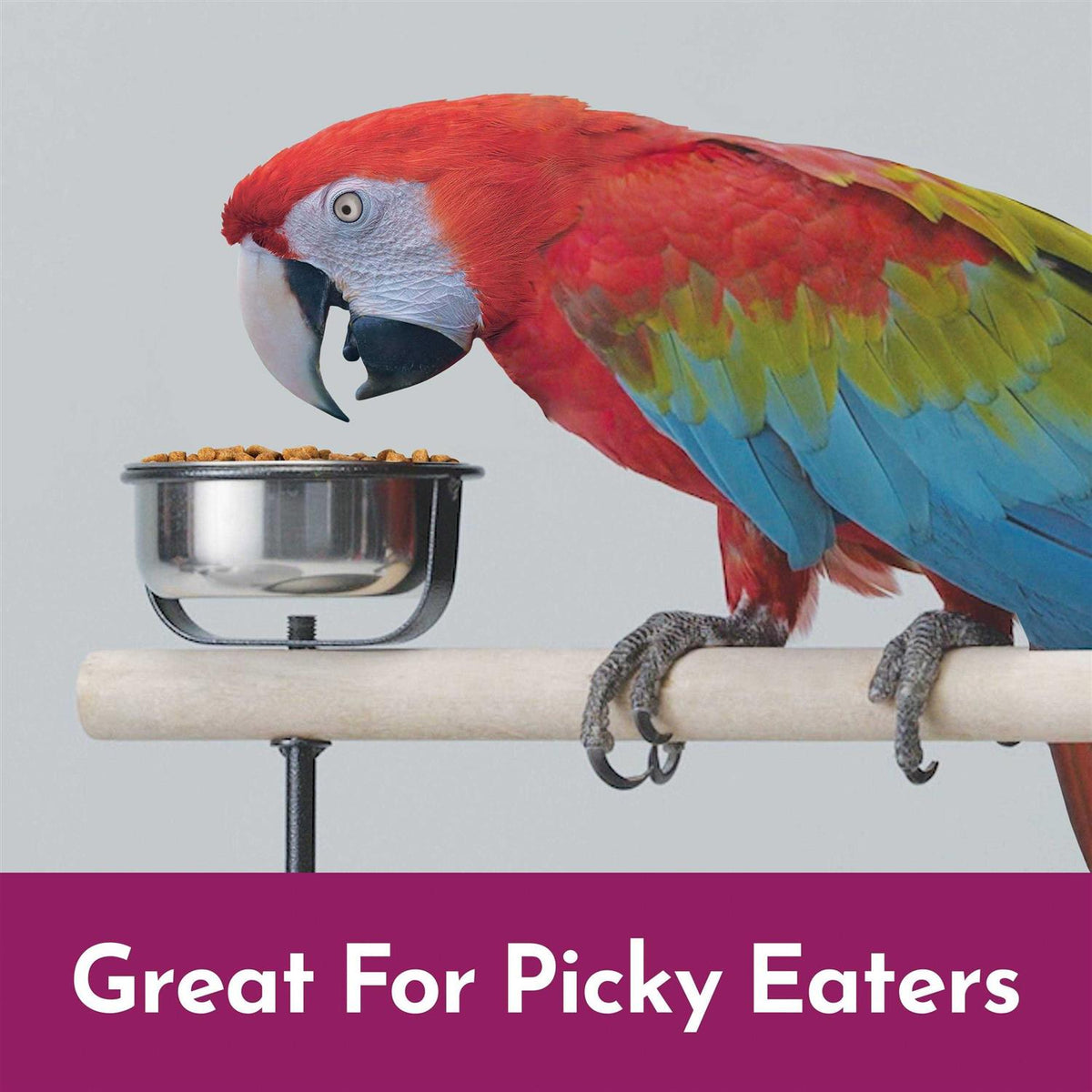 Cockatoo & Macaw Food V14628