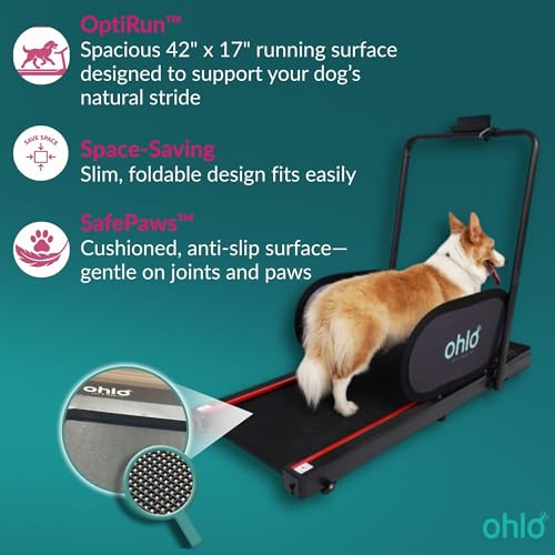 Portable Pet Treadmill with Wheels & Remote Control C294483