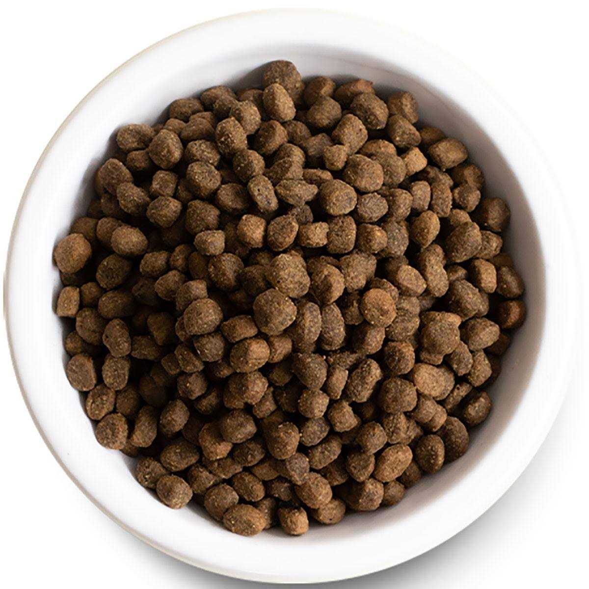 Grain Free Grass Fed Beef Dry Dog Food H503