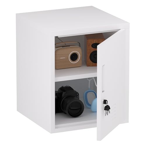 Black Metal Storage Locker Cabinet with Locking Door and Adjustable Shelf R564255