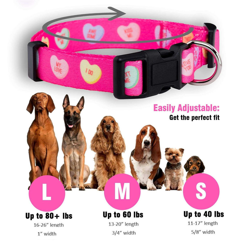 Valentines Day Heart Dog Collar B217